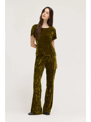 Chartreuse Crush Velvet Top