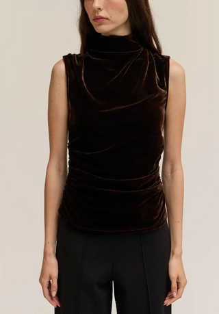 Valerie Dark Chocolate Velvet High Neck Top