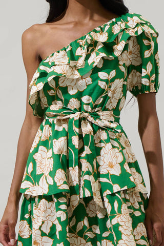 Molly One Shoulder Dress
