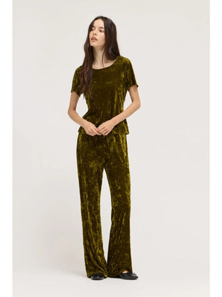Chartreuse Crush Velvet Top